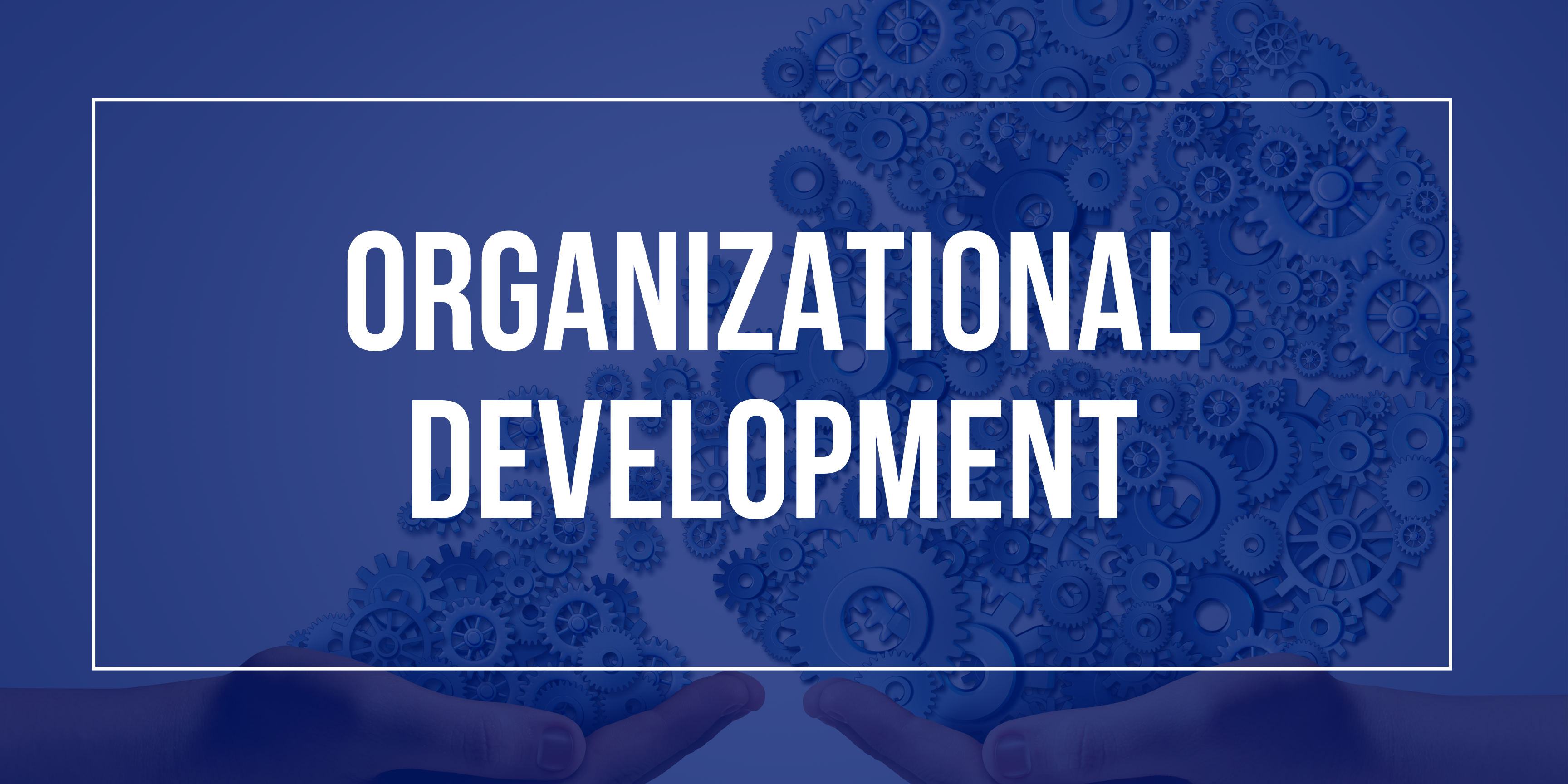 Organizational Development