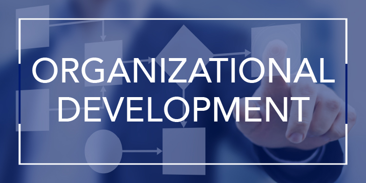 Organizational Development